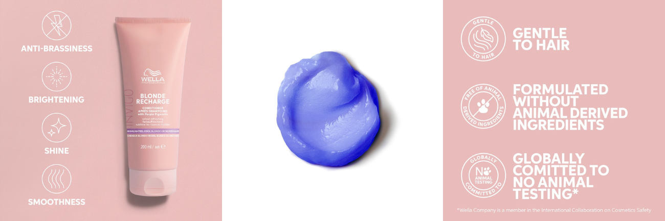 Invigo Color Brilliance Coarse